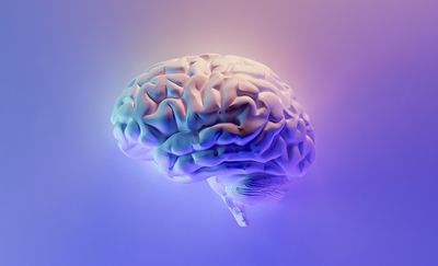 Kreativität fördern mit digitalen Meetingformaten: So gelingen Online-Brainstorming-Sessions